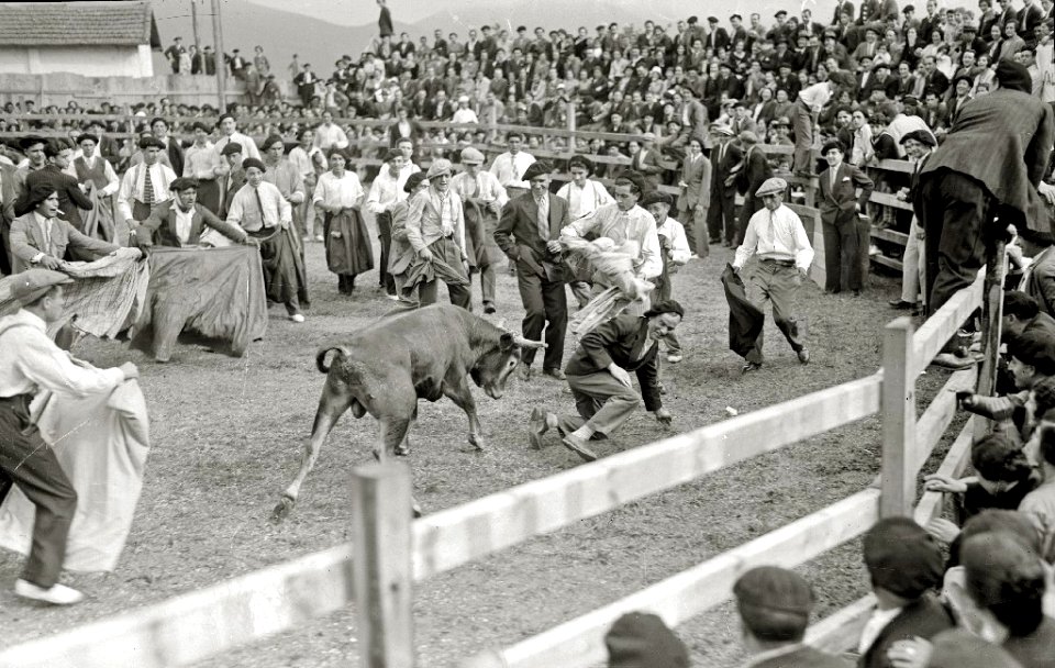 Suelta de vaquillas en una plaza de toros portátil de Hernani (5 de 10) - Fondo Car-Kutxa Fototeka