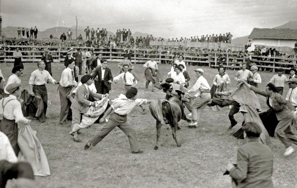 Suelta de vaquillas en una plaza de toros portátil de Hernani (9 de 10) - Fondo Car-Kutxa Fototeka