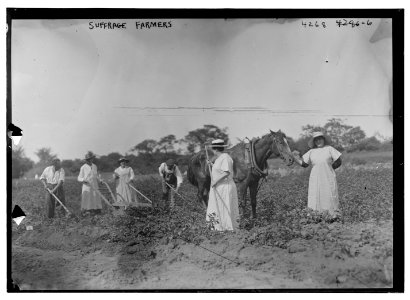 Suffrage farmers LCCN2014705071