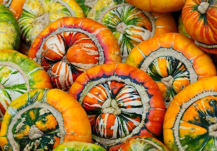 Turban french turban vegetable