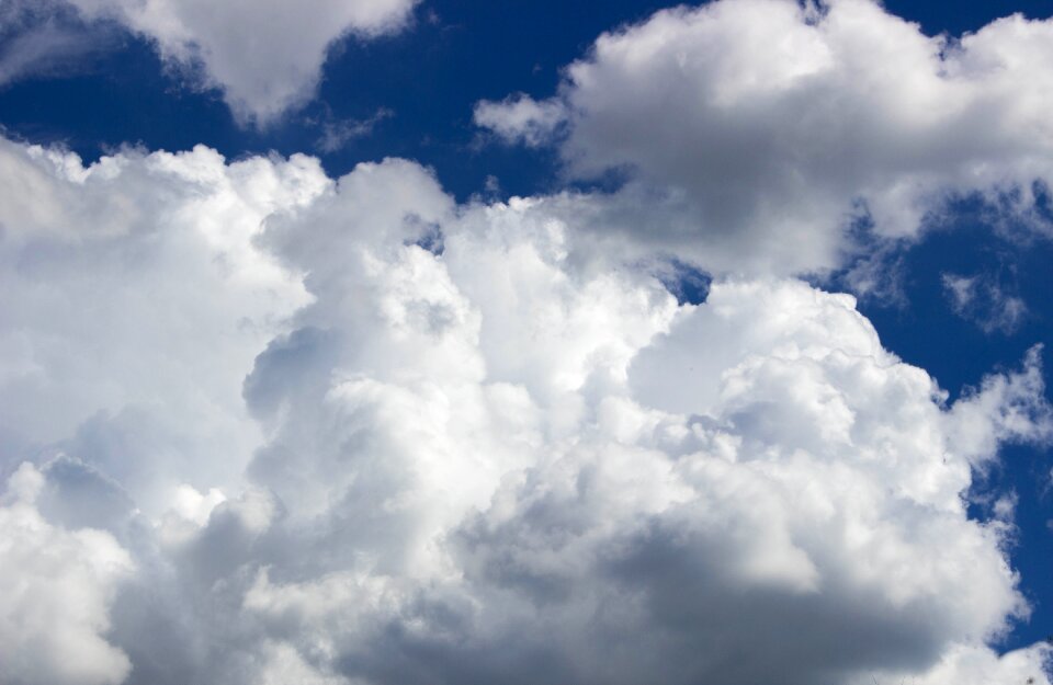 Summer cloudiness downy