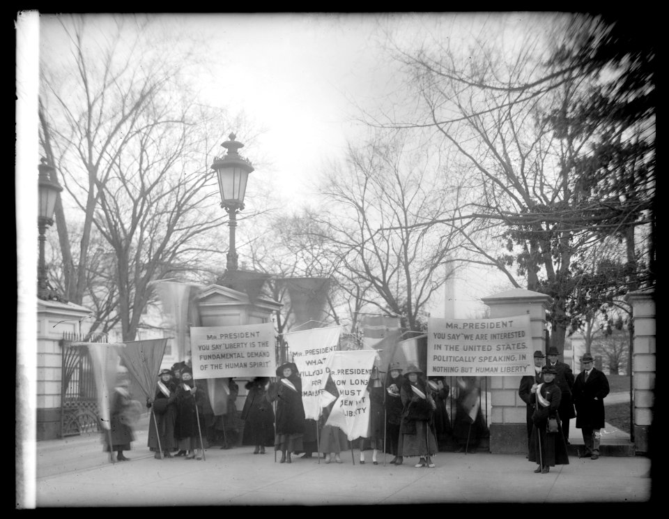 Suffragette pickets at White House, (Washington, D.C.), 1-25-17 N.Y. Del. LCCN2016852820
