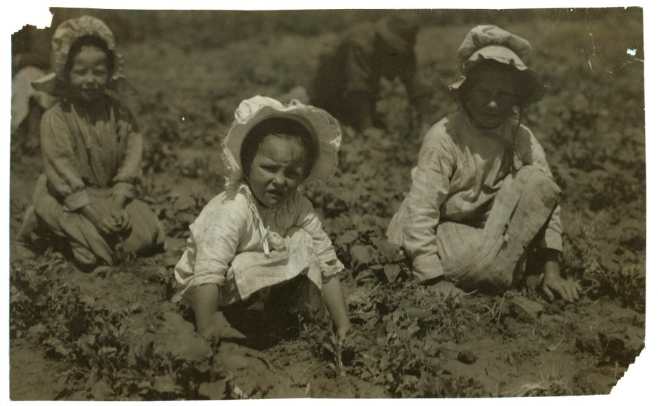Sugar beet workers, Sugar City, Colorado. Mary, six years, Lucy, eight, Ethel, ten. Family has been here ten years. Children go to school in the winter. See Hine Report, Colorado Beet LOC nclc.00268