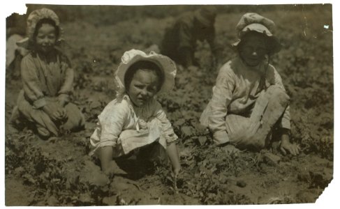 Sugar beet workers, Sugar City, Colorado. Mary, six years, Lucy, eight, Ethel, ten. Family has been here ten years. Children go to school in the winter. See Hine Report, Colorado Beet LOC nclc.00268