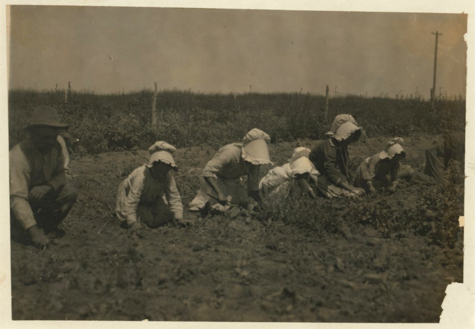 Sugar beet workers, Sugar City, Colorado. Mary, six years, Lucy, eight, Ethel, ten. Family has been here ten years. Children go to school in the winter. See Hine Report, Colorado Beet LOC nclc.00266