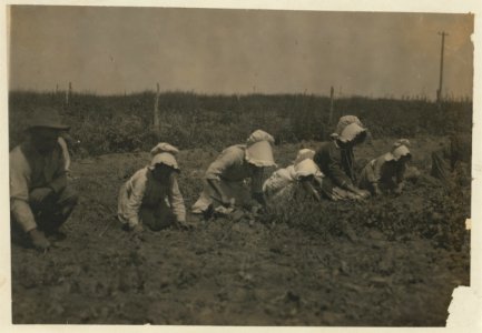 Sugar beet workers, Sugar City, Colorado. Mary, six years, Lucy, eight, Ethel, ten. Family has been here ten years. Children go to school in the winter. See Hine Report, Colorado Beet LOC nclc.00266