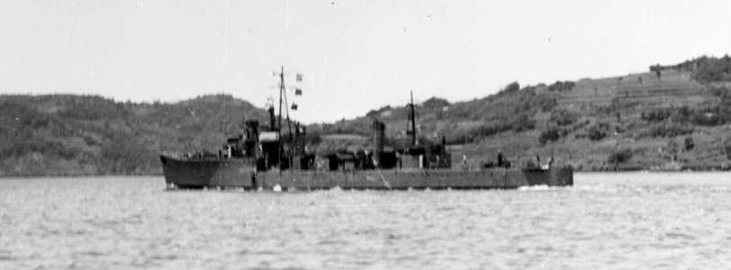 Sugi NH 86062