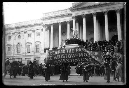 Suffragettes, (Washington, D.C.), 1917 LCCN2016851254 photo