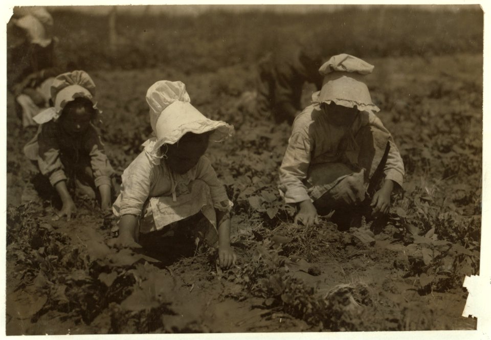 Sugar beet workers, Sugar City, Colorado. Mary, six years, Lucy, eight, Ethel, ten. Family has been here ten years. Children go to school in the winter. See Hine Report, Colorado Beet LOC nclc.00267