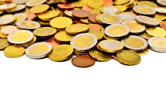Euro specie loose change