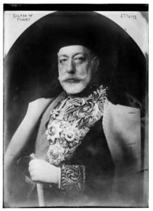 Sultan of Turkey LCCN2014701131
