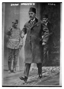Sultan Mehmed VI LCCN2014708082