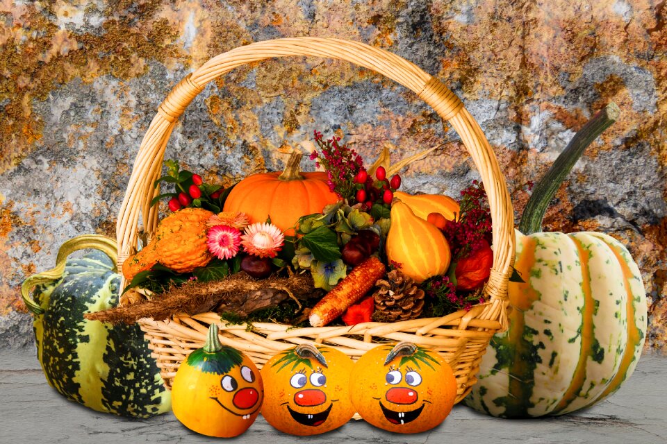 Pumpkins basket thanksgiving