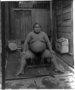 Sumo wrestler seated LCCN2013646129