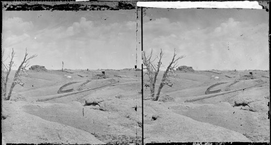 Summit of Black Hills, near Dale Creek. Albany County, Wyoming. - NARA - 517376