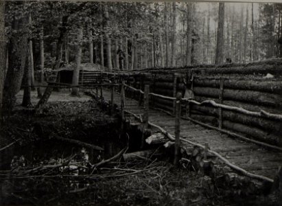 Sumpfstellung auf der Brücke bei den Jägern der 25 Infanteriedivision (BildID 15446166)