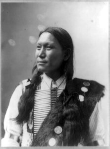 Sun Flower, Native American man, half-length portrait, facing left LCCN92508798 photo