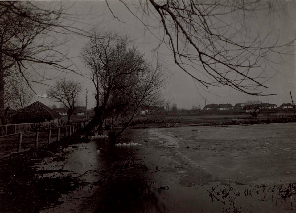 Sumpf-Partie an der Strasse in Mikuliczy.März.1918. (BildID 15459303)