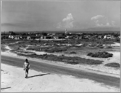 Sunset District, East Bakersfield, Kern County, California. View of Negro shacktown settlement (Suns . . . - NARA - 521663