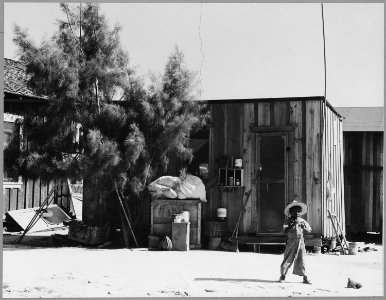 Sunset District, East Bakersfield, Kern County, California. Housing at 10 dollars a month. - NARA - 521667 photo