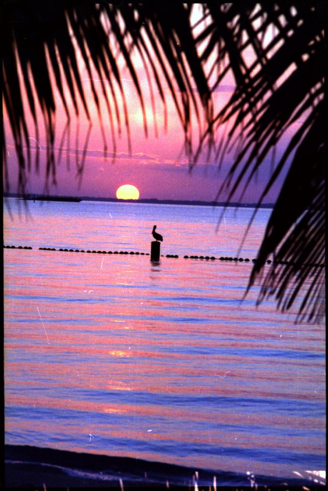 Sunset at Key Biscayne, Florida - NARA - 194568