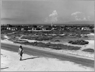 Sunset District, East Bakersfield, Kern County, California. View of Negro shacktown settlement (Suns . . . - NARA - 521663 photo