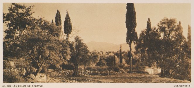 Sur les ruines de Gortyne Une olivette - Baud-bovy Daniel Boissonnas Frédéric - 1919