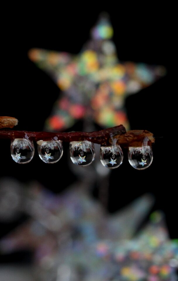 Dew plant water