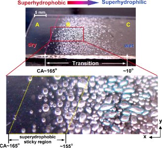 Surface Adhesion; Wetability gradient (5940525525)