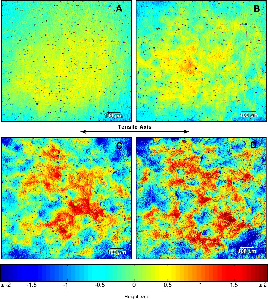 Surface Profiling; Scanning Laser Confocal Microscopy (5940522285)