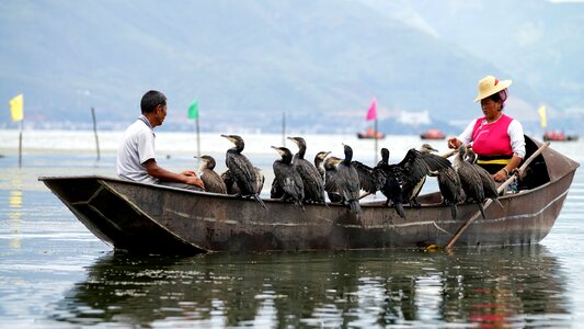 The fisherman shipping tourism