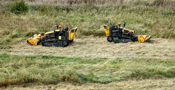 Grass cut cutting