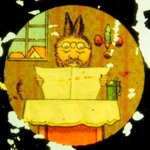 Surprise changing from Rabbit to Man picture 5