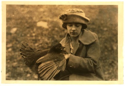 Susie Kellison, raising chickens. Examining the wing and looking for smut. 250 of these boys and girls in the Club work in this Co. LOC cph.3b03545