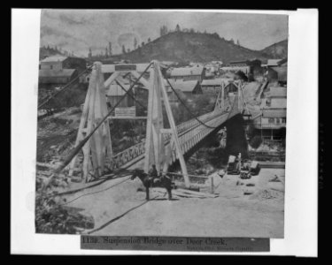 Suspension Bridge over Deer Creek, Nevada City, Nevada County LCCN2002719840