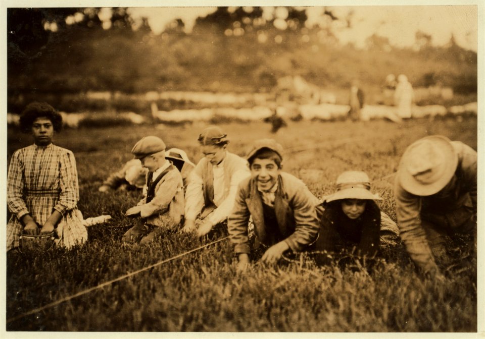 Susie, said 6 years old. Picks about 5 pails a day. Clarence, said 7 years. Nine out of the seventy workers were from 6 to 12 years old. Mostly Syrians from Boston and Providence. LOC nclc.00150