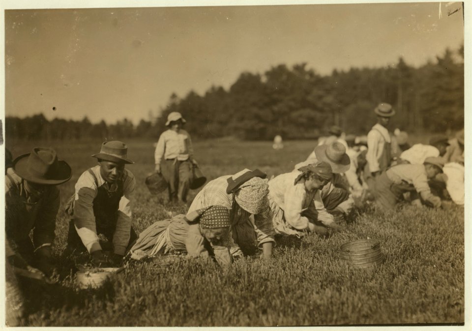 Susie Fava. Picks 8 pails a day. Said 8 years old. Gets 8 cents a pail. LOC cph.3c17744