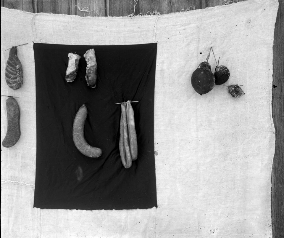 Svensk allmogekost. Köttets användning. Olika slags korv - Nordiska museet - NMA.0028359