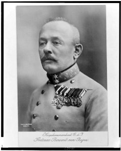 Svetozar Borojević von Bojna - phot. E. Schöfer, Wien. LCCN99403490