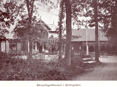 Svinglen skovfogedh