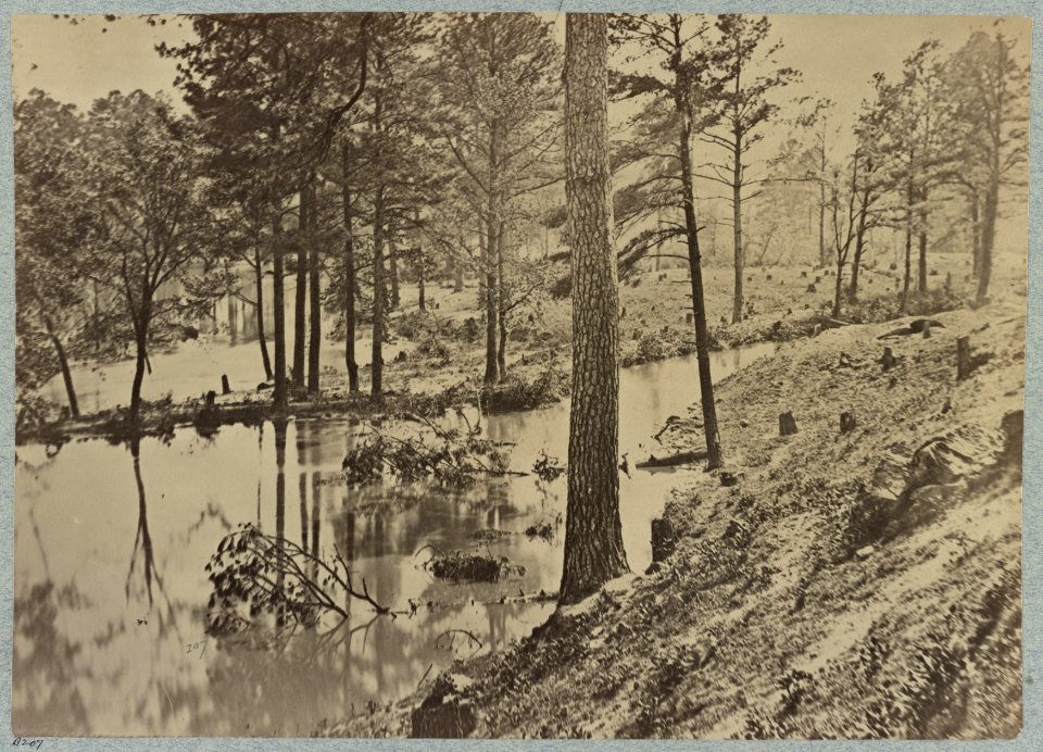 Swamp on Appomattox River, Va., near Broadway Landing LCCN2012649217