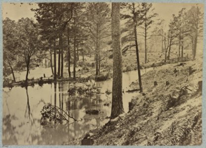 Swamp on Appomattox River, Va., near Broadway Landing LCCN2012649217