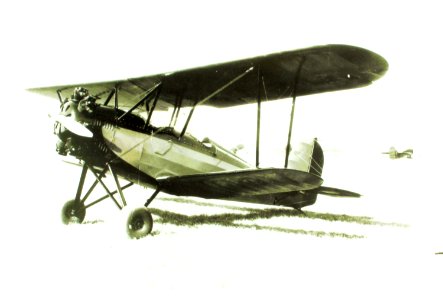 Swallow, Sport HA