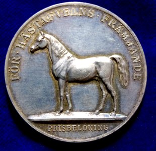 Sweden's Horse Award Silver Medal, reverse photo
