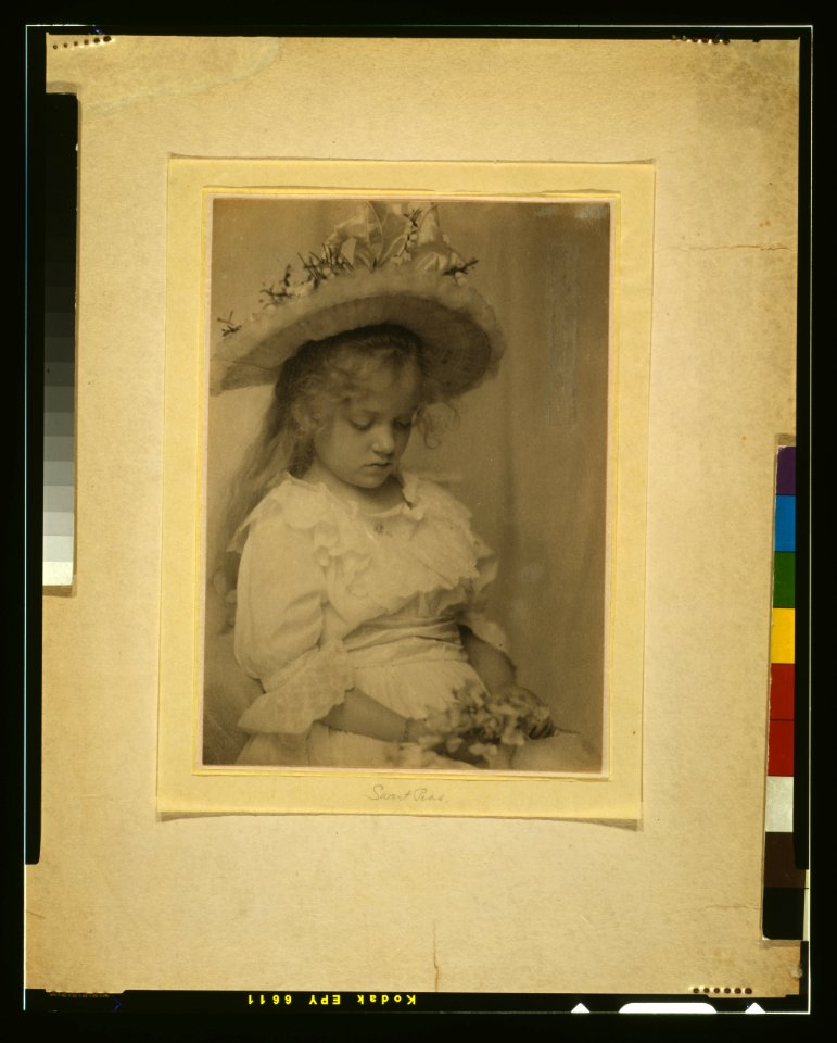 Sweet peas - Eva Gamble Walborn. LCCN2004675053