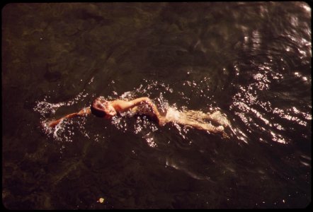 Swimming-on-havasu-lake-may-1972 6990404770 o