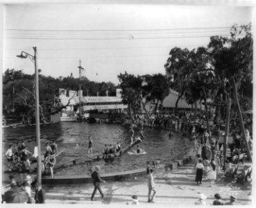 Swimming pool at) Sulphur Springs, Tampa, Fla. LCCN2003655604