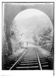 Swiss guarding tunnel LCCN2014699980