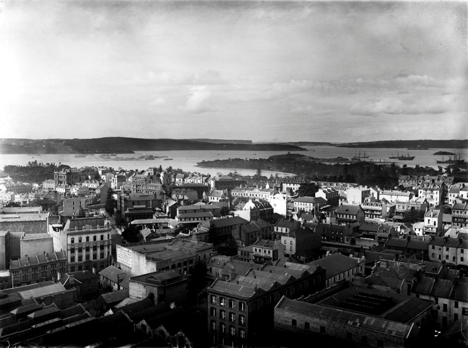 Sydney from GPO tower looking north-east from The Powerhouse Museum Collection
