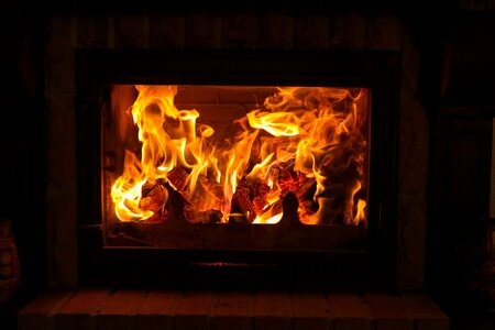 Burn fireplace firewood